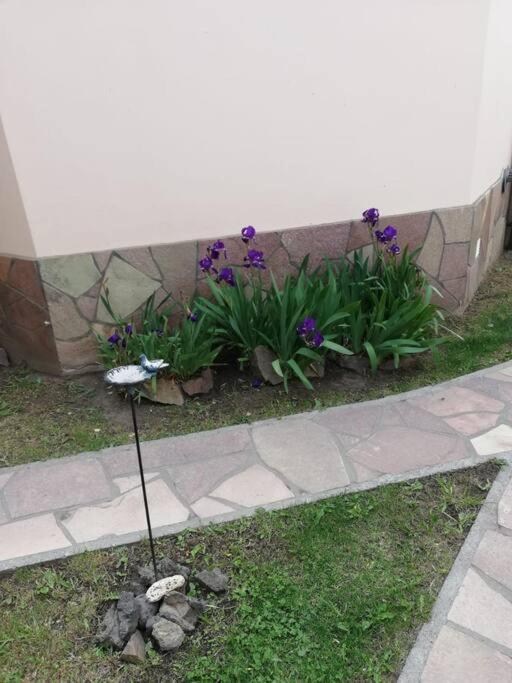 דירות אל צ'אלטן Madre Roca מראה חיצוני תמונה